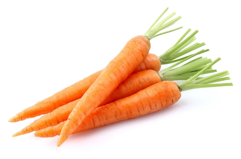Carottes