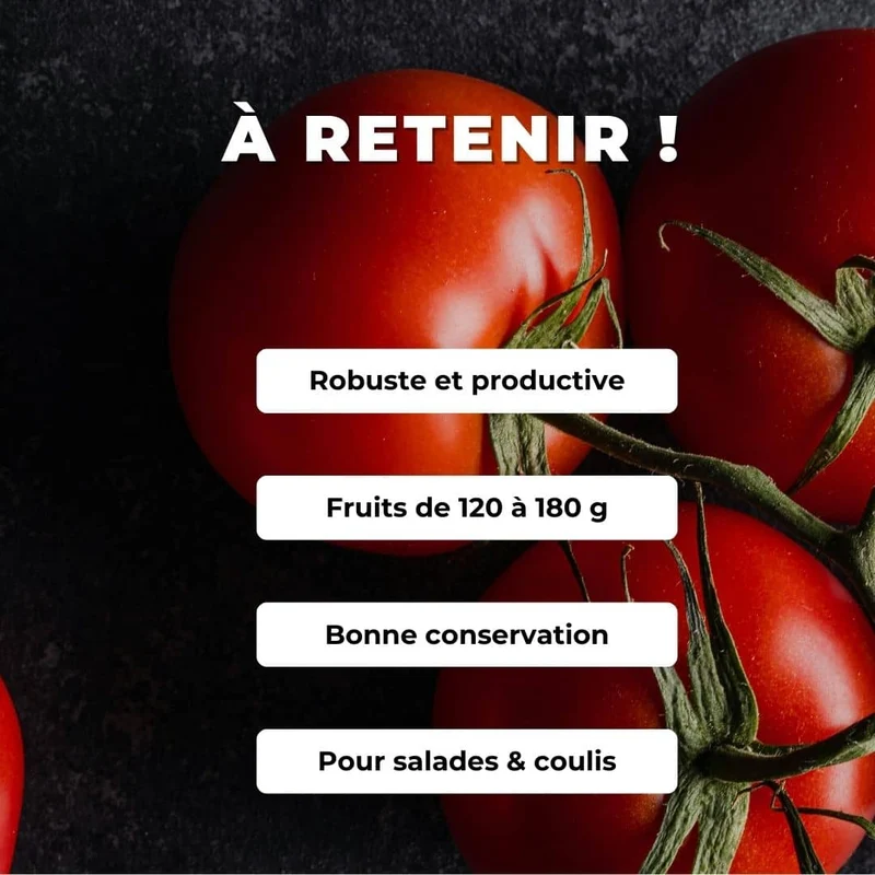 Tomate Saint-Pierre — Graines