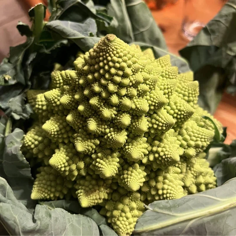 Chou Romanesco — Graines