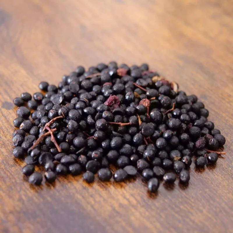 Poivrier du Sichuan — Sansho — Graines ou plant
