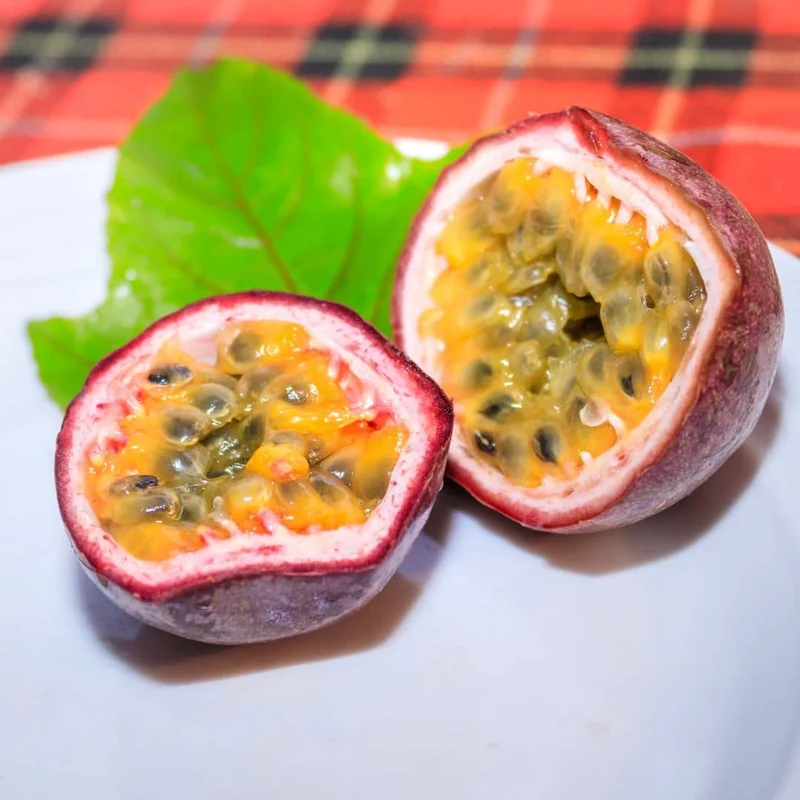 Fruit de la passion — Graines ou plant