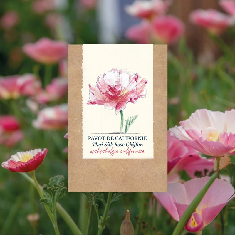 Graines de Pavot de Californie "Rose Chiffon" • Certifiées AB