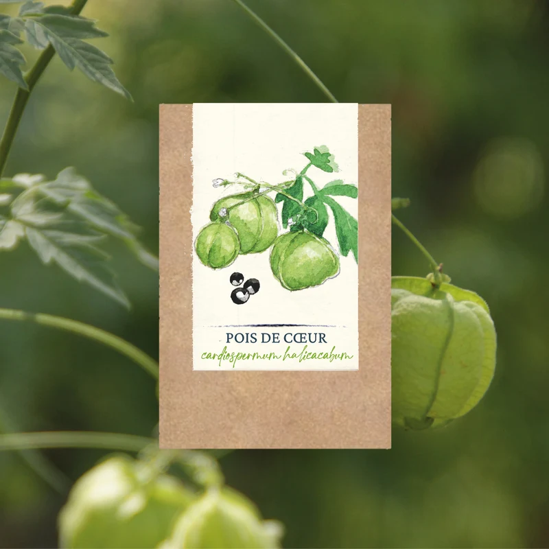 Graines de Pois de Cœur • Certifiées AB