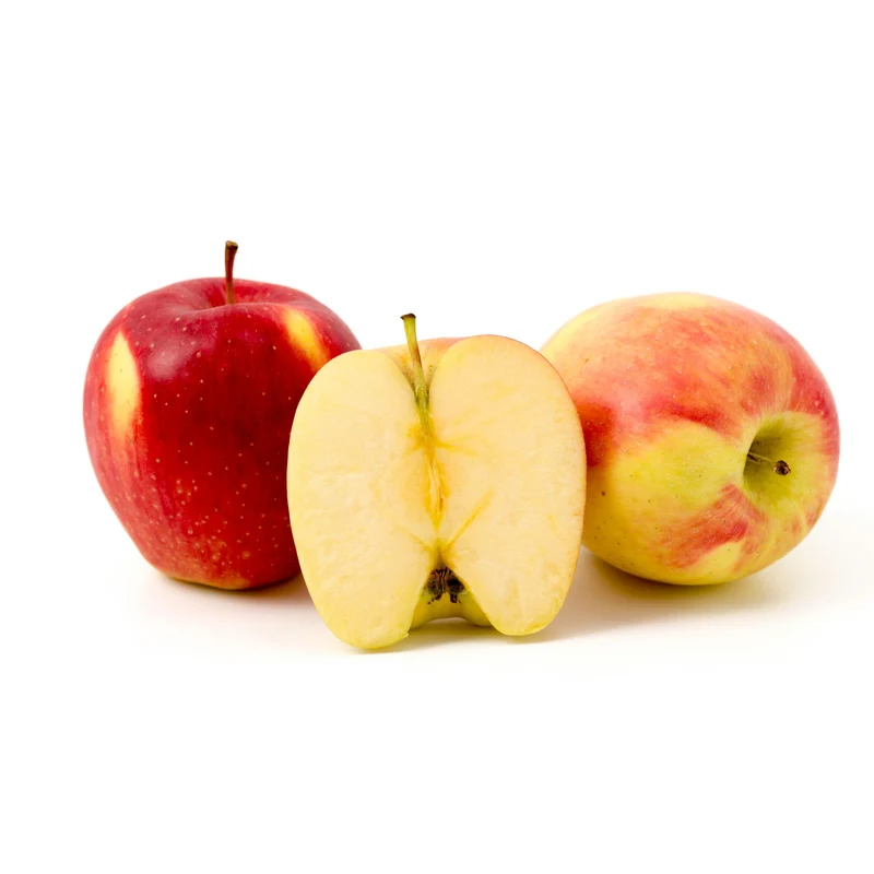 Pommier 'Ambrosia' - Malus domestica 'Ambrosia'
