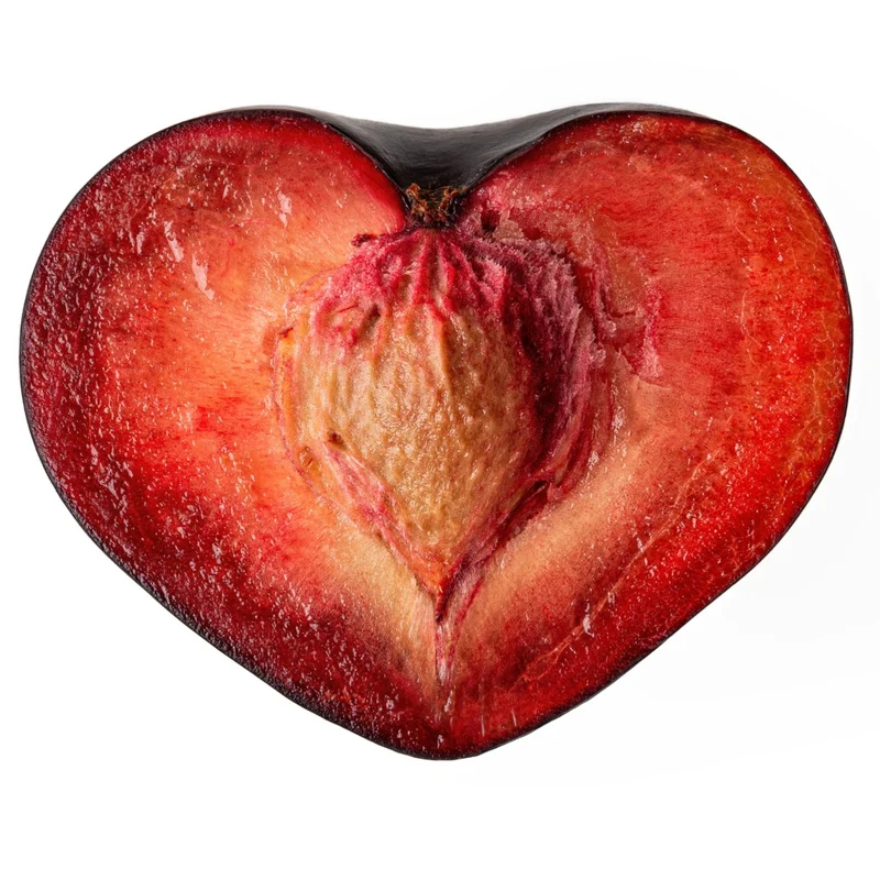 Prunier 'Elephant Heart' - Prunus salicina 'Elephant Heart'
