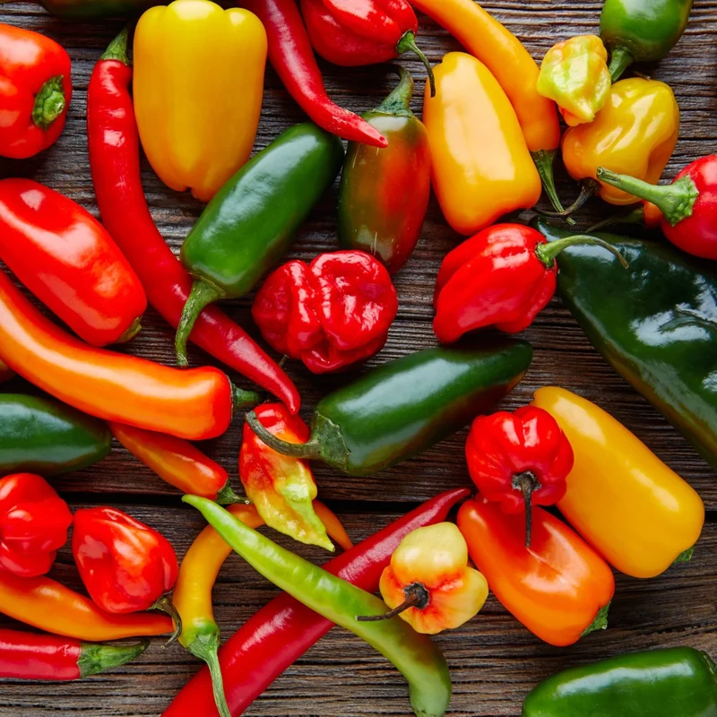 Collection de Piments Forts - Du Habanero au Carolina Reaper