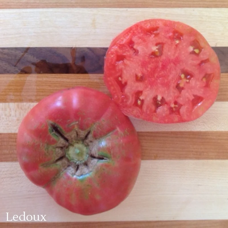 Sélection de tomates ancestrales du Québec – Variétés variées