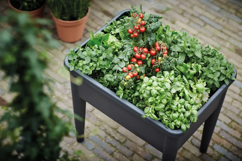 Table potagère Green Basics Super XXL d'elho – Grand format