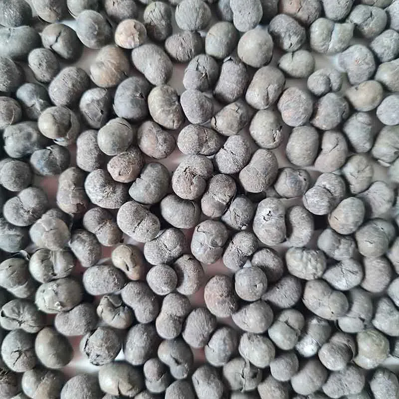 Winterharde palm zaden mix