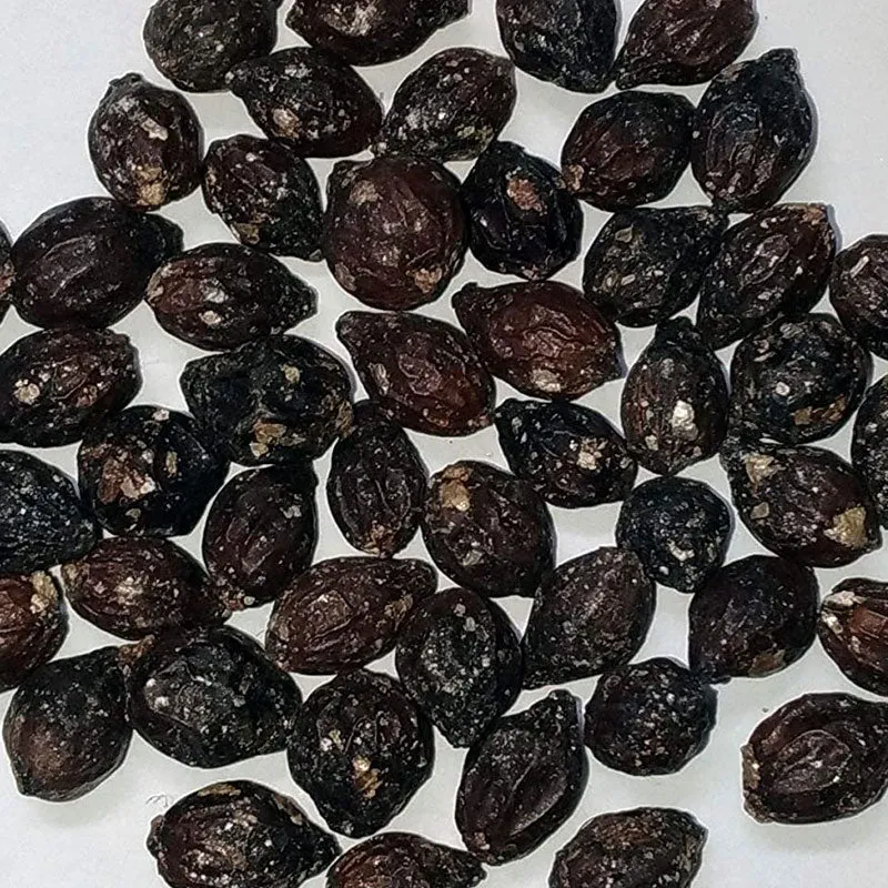 Tropische palm zaden mix