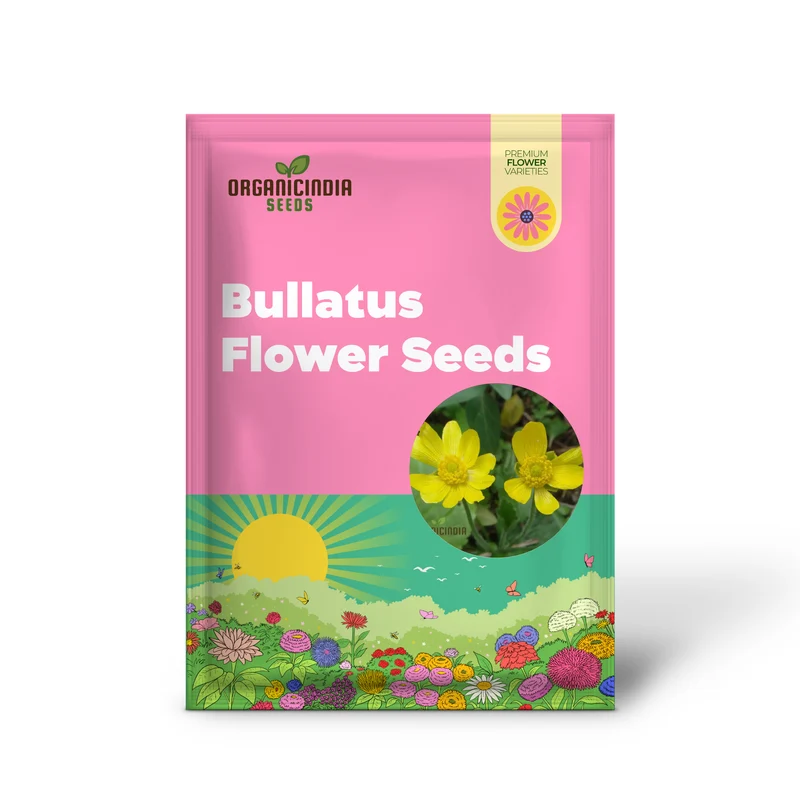 Ranunculus Bullatus Flower Seeds For Planting, Adding Unique and Bright Blooms to Your Garden