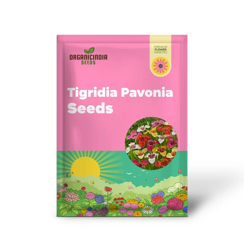 Tigridia Pavonia Mixed Colours Seeds - Exotic Gardening Seeds for Vibrant Summer Blooms