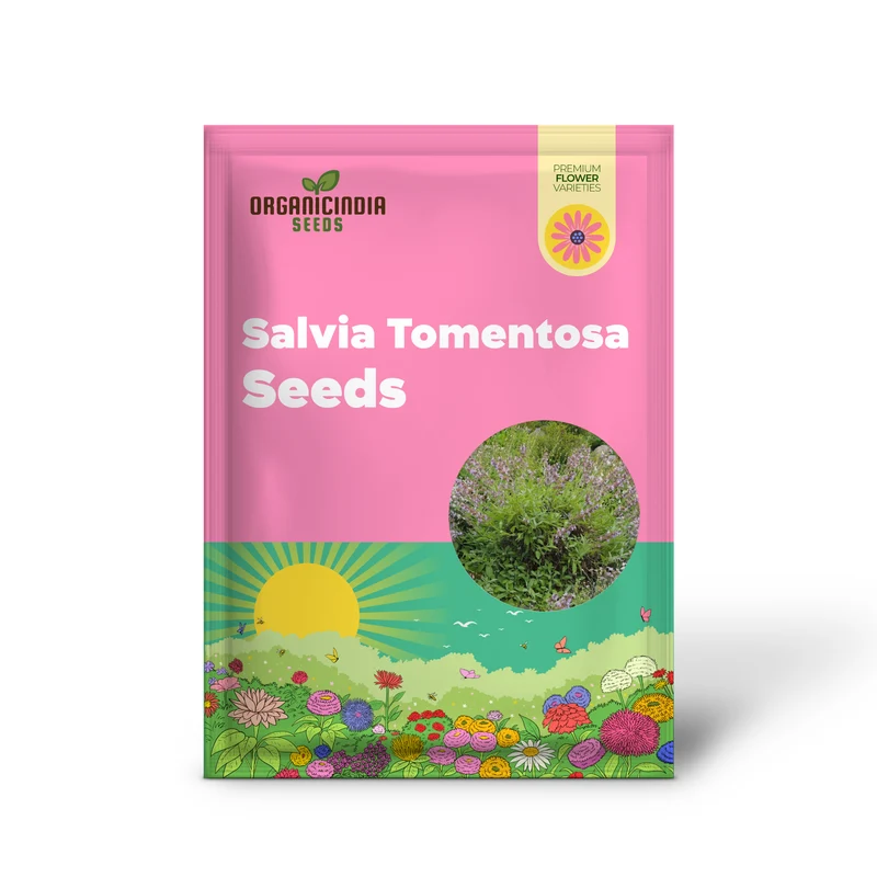 Salvia Tomentosa Seeds - Premium Quality Seeds for Gardening Enthusiasts, Perfect for Creating Vibrant, Hardy Gardens - Buy Organic Seeds Online