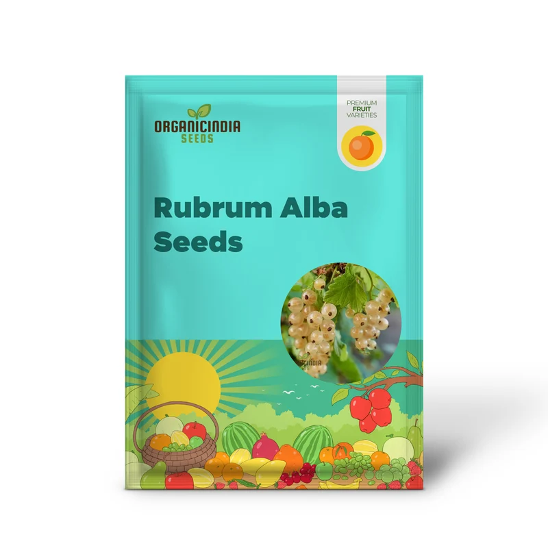 WHITE CURRANT (Rubrum Alba) Seeds for Gardening - Premium Quality, Organic, and Ideal for Home Gardens