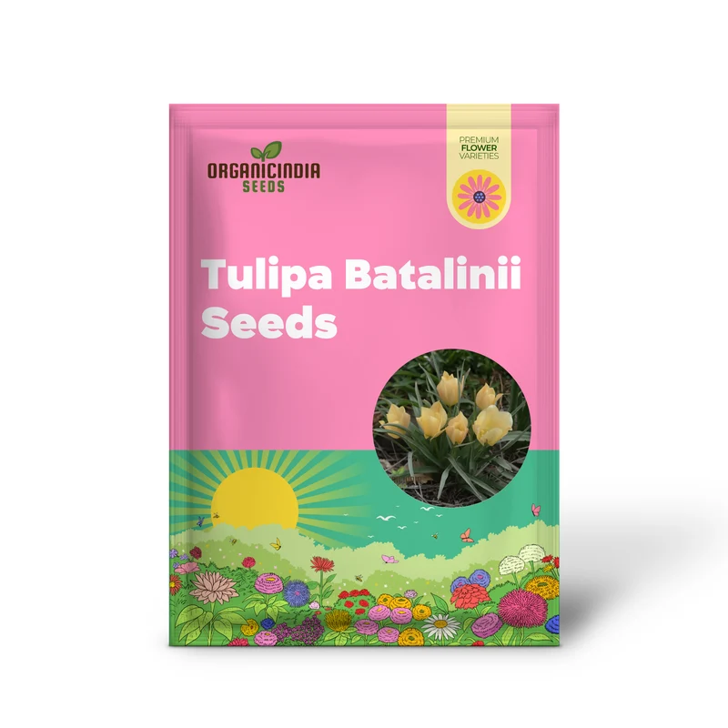 TULIPA BATALINII Seeds for Planting - Ideal for Gardening Enthusiasts - Buy Organic Flower Seeds Online