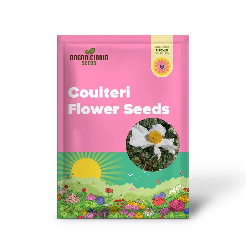 Romneya Coulteri Flower Seeds For Planting, Growing Stunning White Poppies for Your Garden