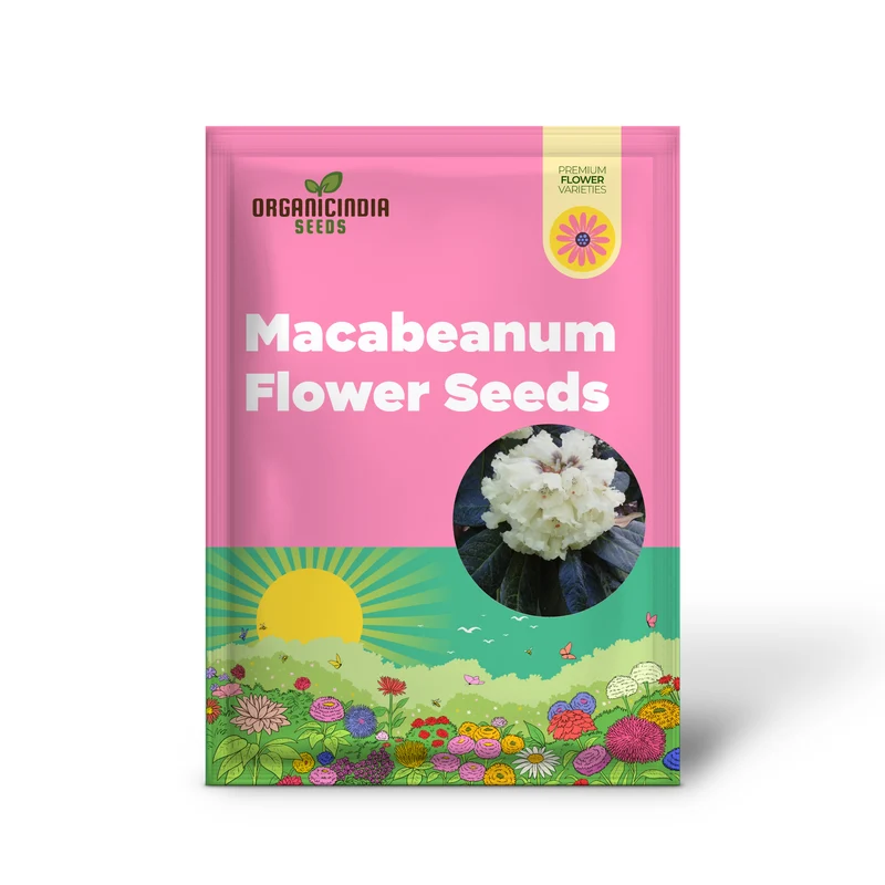 Rhododendron Seeds (Rhododendron macabeanum Seeds) - Majestic Hardy Blooms for Gardens