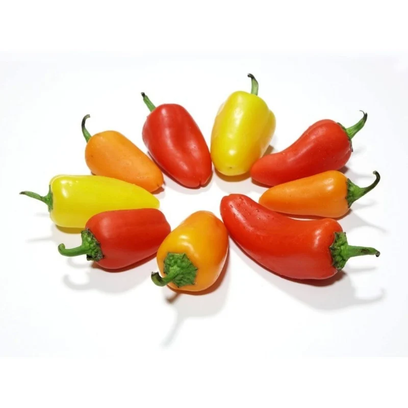 Chilli Santa Fe Grande Seeds for Planting and Gardening Organic Seed Collection