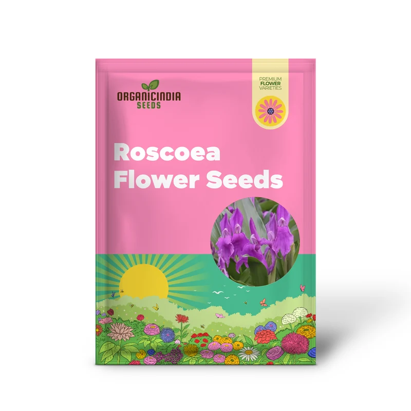 Roscoea Purpurea var. Procera Flower Seeds For Planting