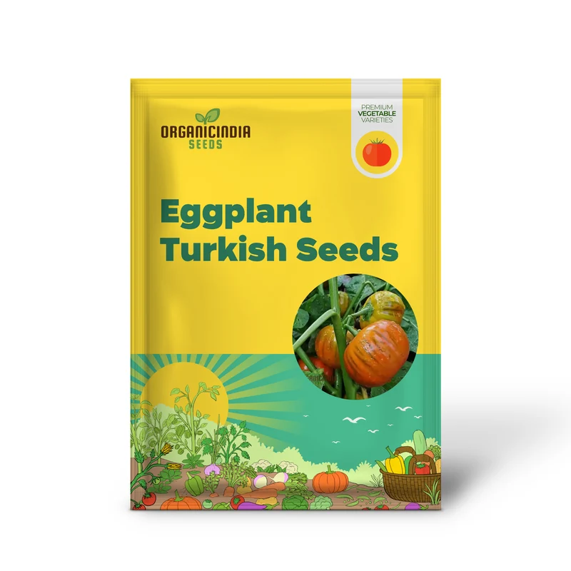 Eggplant Turkish Orange Seeds - Premium Quality for Planting and Gardening