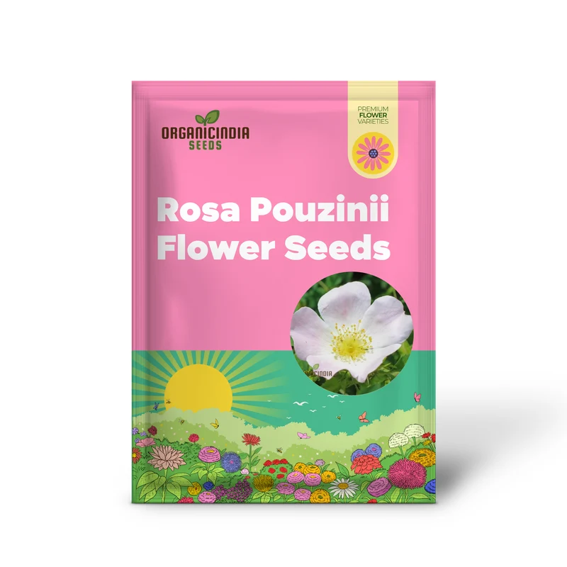 Rosa Pouzinii Flower Seeds For Planting, Expert Tips for Planting and Growing Stunning Wild Rose Flowers for a Beautiful Garden Landscape