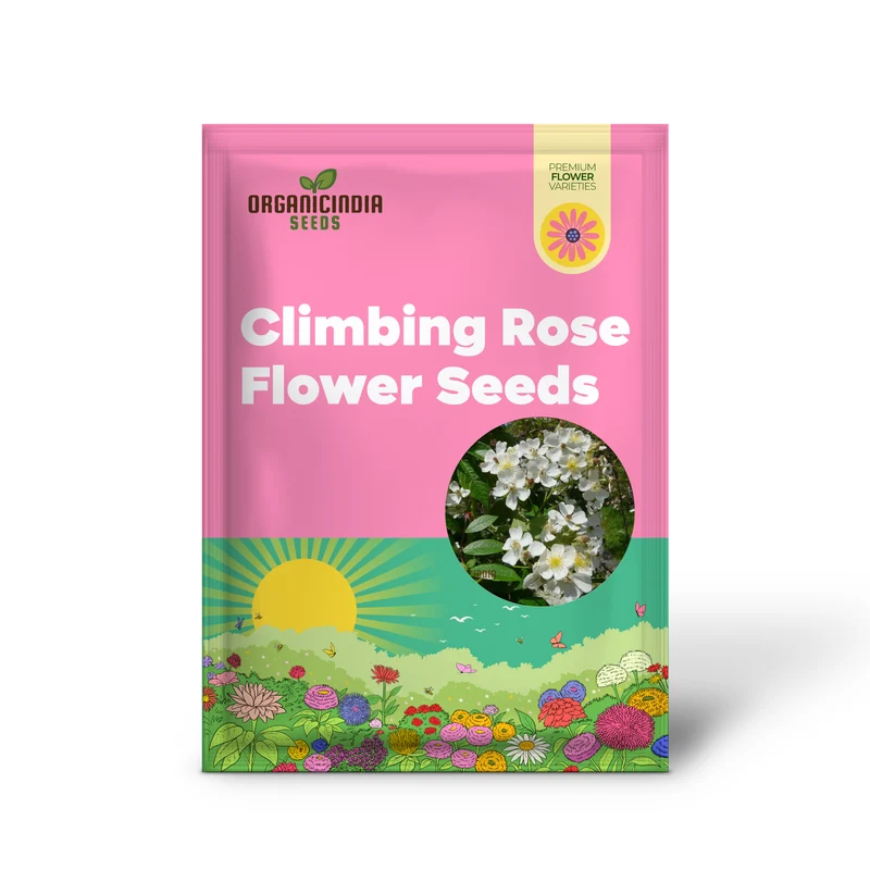Planting and Growing the Stunning and Vigorous Climbing Rose for a Beautiful Garden Display