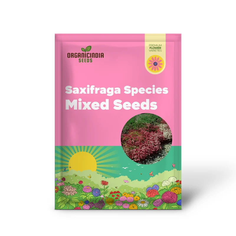 Saxifraga Species Mixed Seeds for Gardening Enthusiasts | Rare Alpine Plant Variety | Garden Seeds for Rock Gardens and Borders