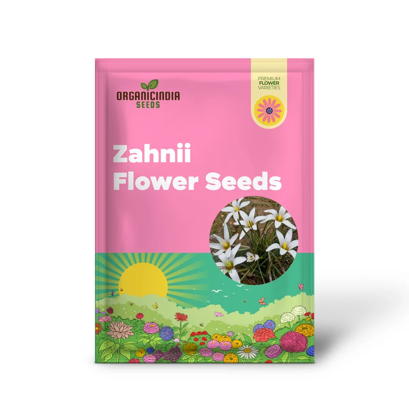 Romulea Zahnii Flower Seeds For Planting, Growing Rare and Elegant Blooms for Your Garden