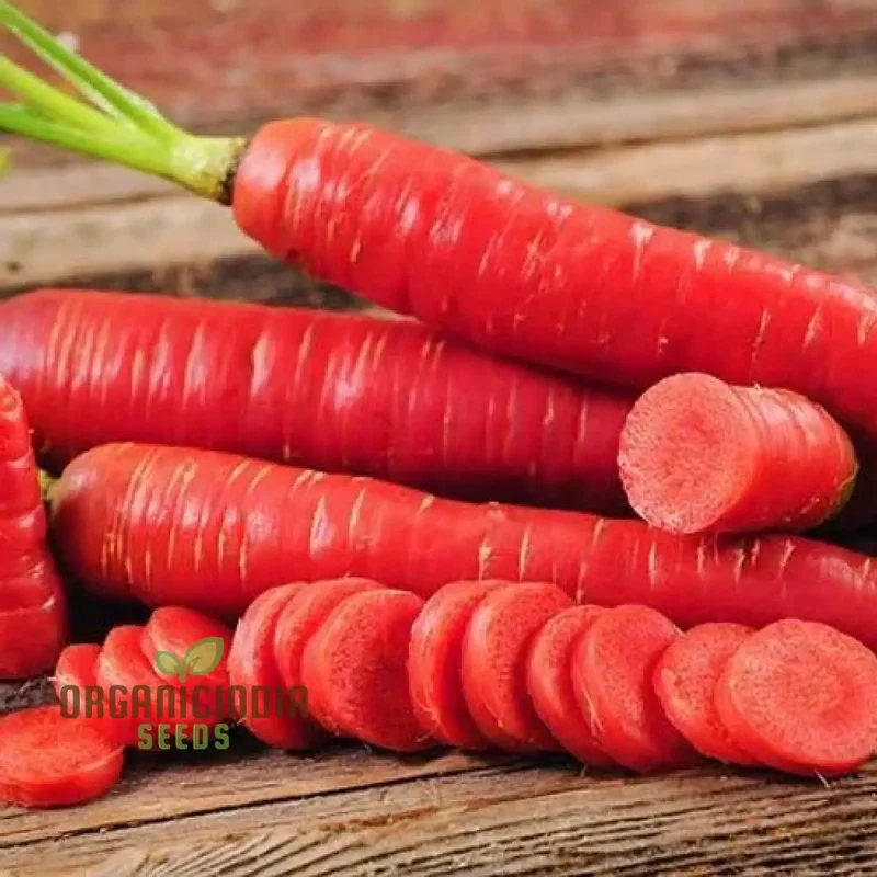 Carrot Seeds - Atomic Red for Planting & Gardening | Premium Quality Seeds
