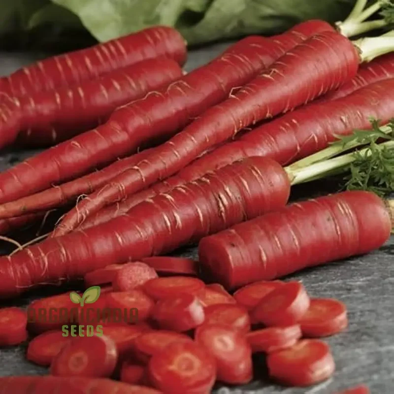 Carrot Seeds - Atomic Red for Planting & Gardening | Premium Quality Seeds