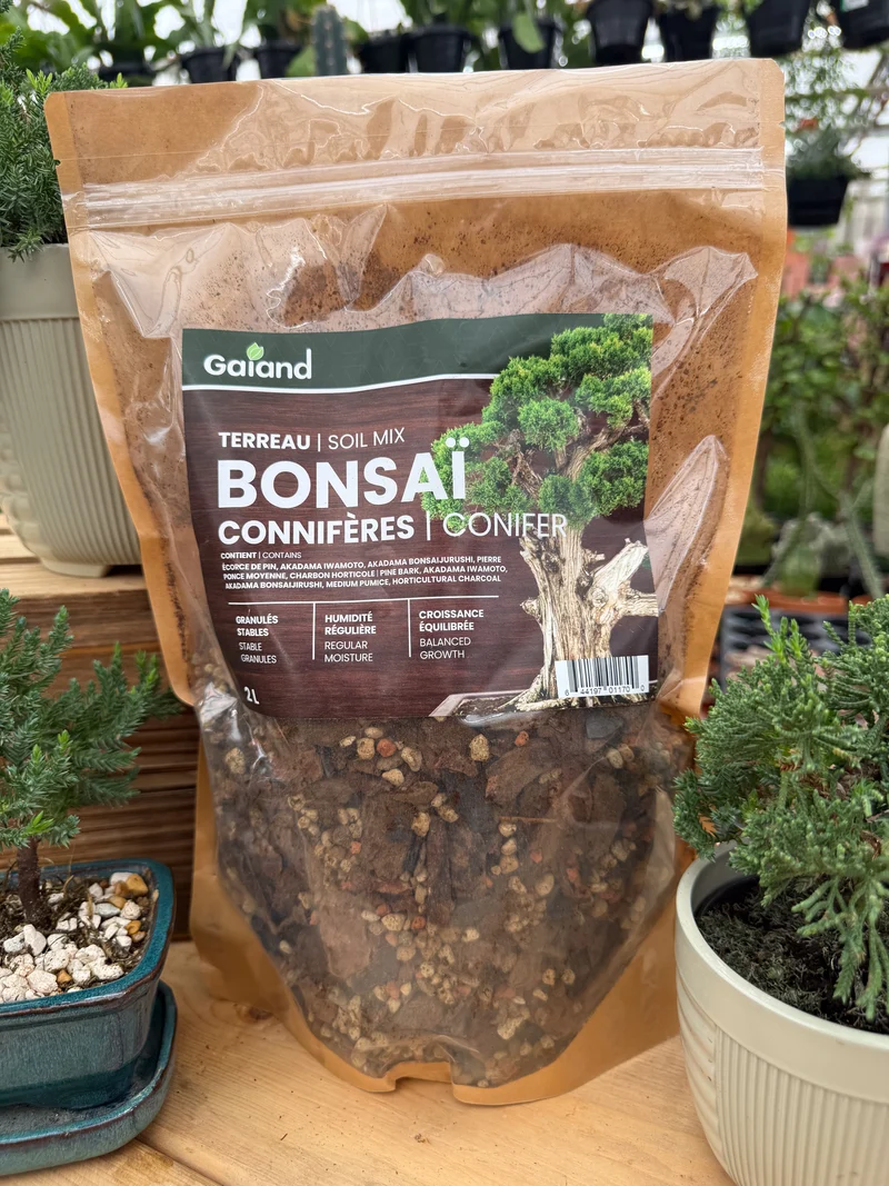 Terreau pour bonsaï conifère Gaiand