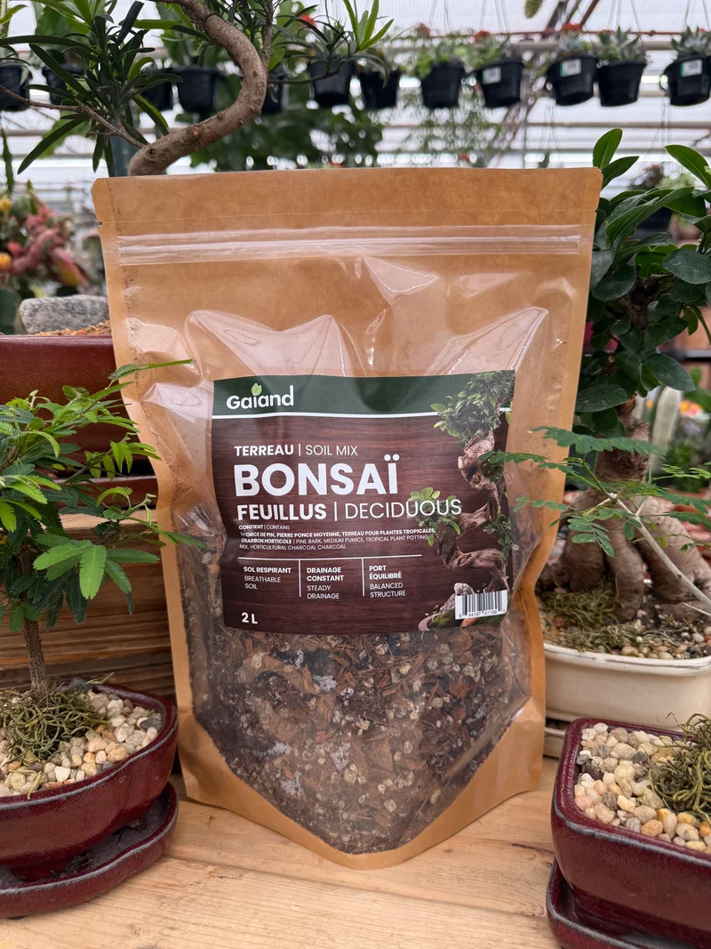 Terreau maison pour bonsaï feuillu