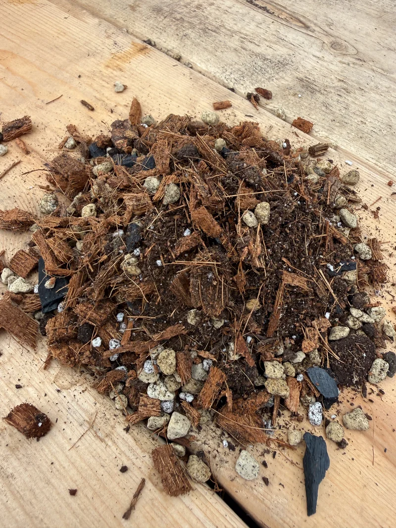 Terreau maison pour bonsaï feuillu