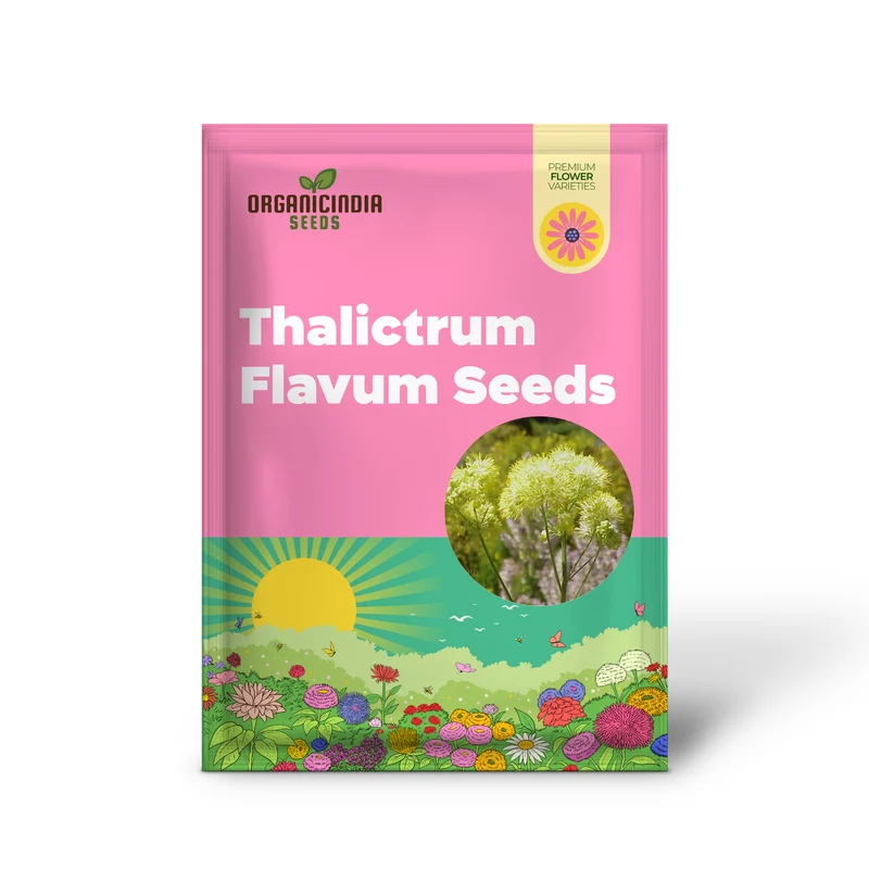 Thalictrum Flavum Seeds - Premium Quality Gardening Seeds for Vibrant Yellow Blooms - Ideal for Expert Gardeners