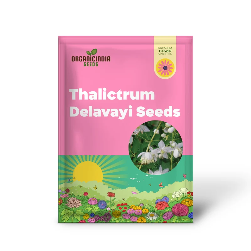 Thalictrum Delavayi Blizzard Seeds – White Meadow Rue