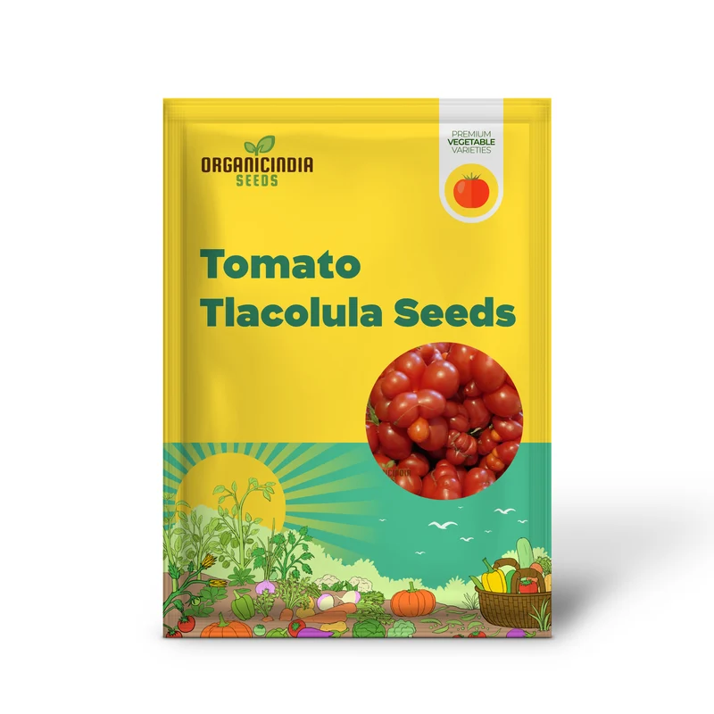 TOMATO TLACOLULA Seeds, Premium Quality Seeds for Gardening Enthusiasts