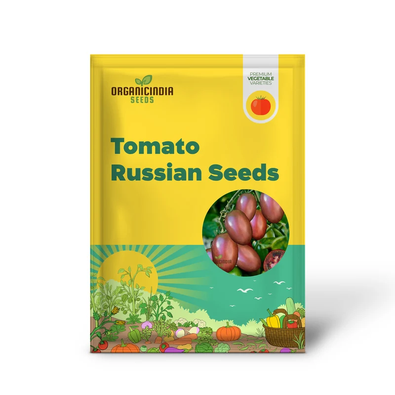 TOMATO PURPLE RUSSIAN Seeds for Planting