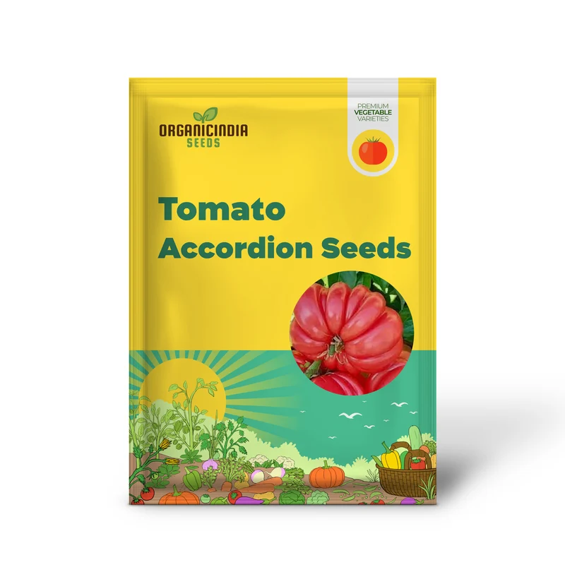 Tomato Pink Accordion Seeds for Gardening | Premium Heirloom Tomato Seeds for Your Garden