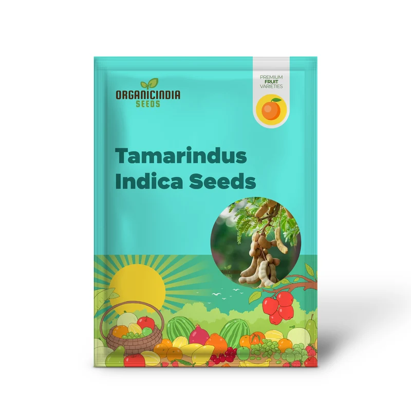 Dry Tamarindus Indica Seeds for Home Gardening-Cultivate Exotic Tamarind Trees and Enjoy Fresh, Tangy Fruit!