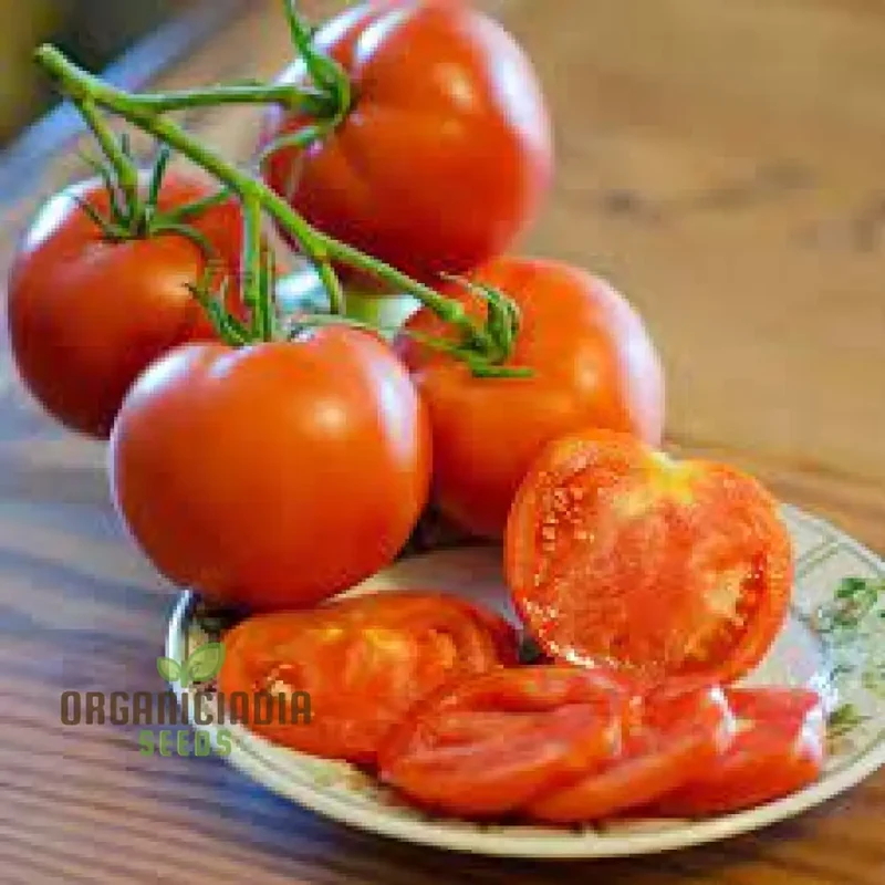 TOMATO LEWIS' LONG KEEPER Seeds - Premium Quality Seeds for Thriving Gardening