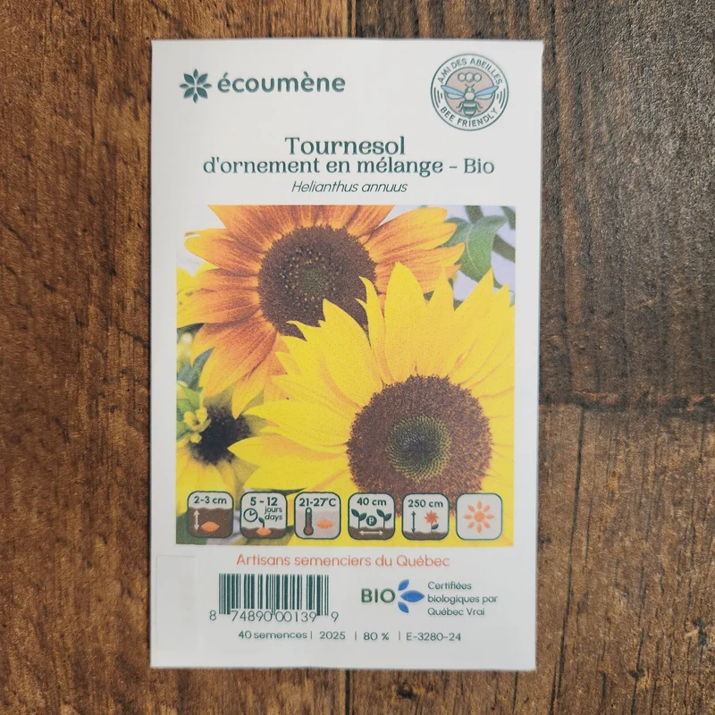 Mélange de tournesol ( Helianthus annuus )