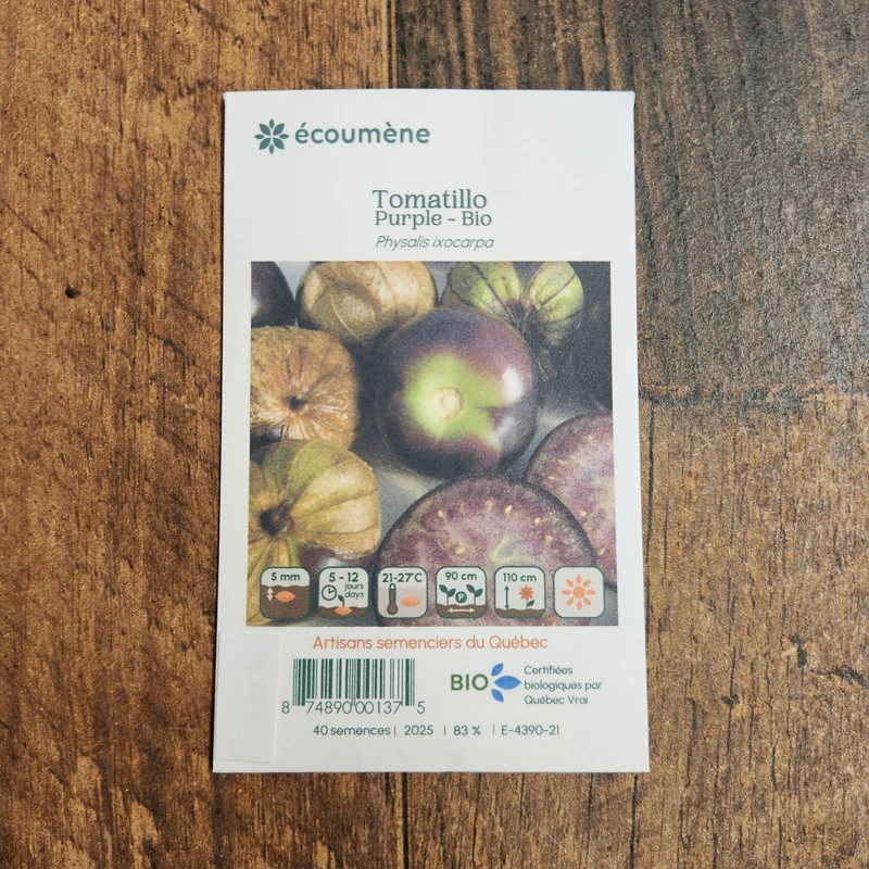 Tomatillo ‘Purple’ ( Physalis ixocarpa )
