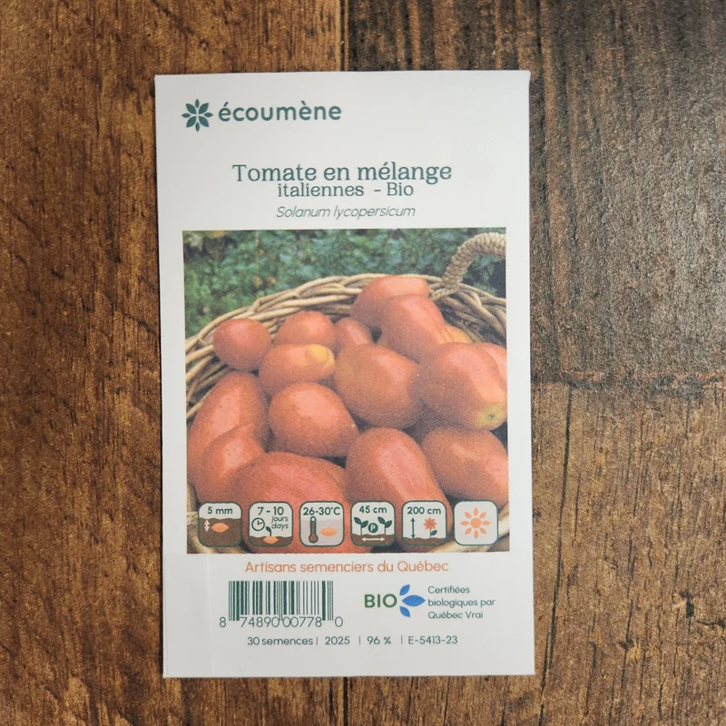 Mélange de tomates italiennes ( Solanum lycopersicum )