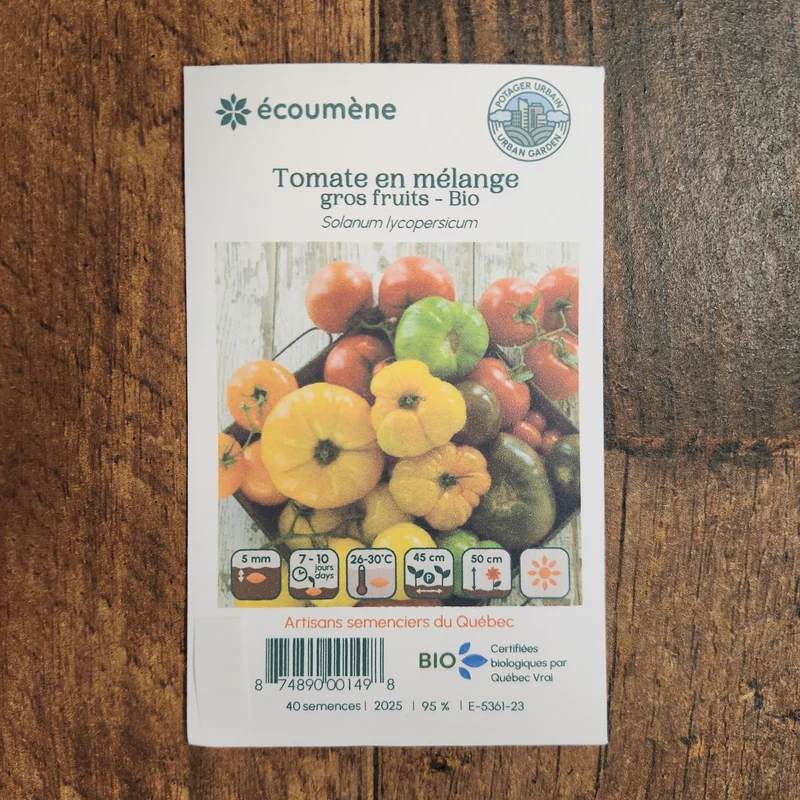 Mélange de tomates gros fruits ( Solanum lycopersicum )
