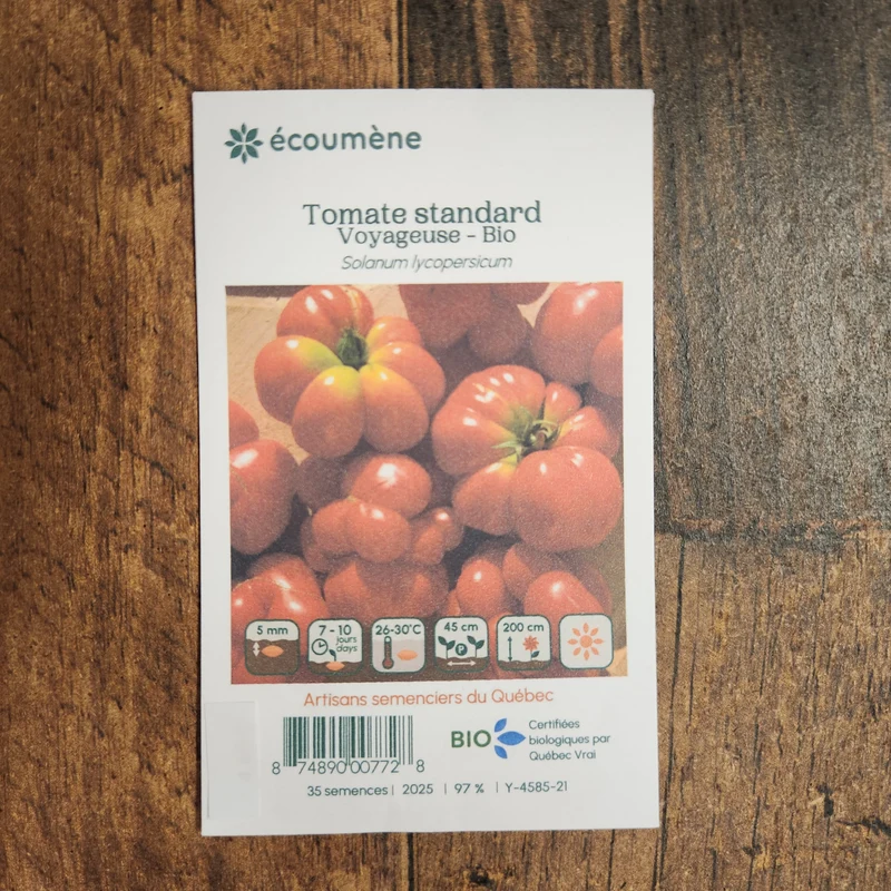 Tomate ‘Voyageuse’ ( Solanum lycopersicum )