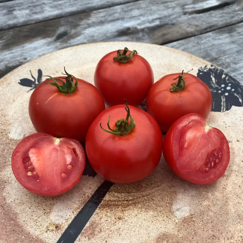 Tomate ‘White Pour’ ( Solanum lycopersicum )