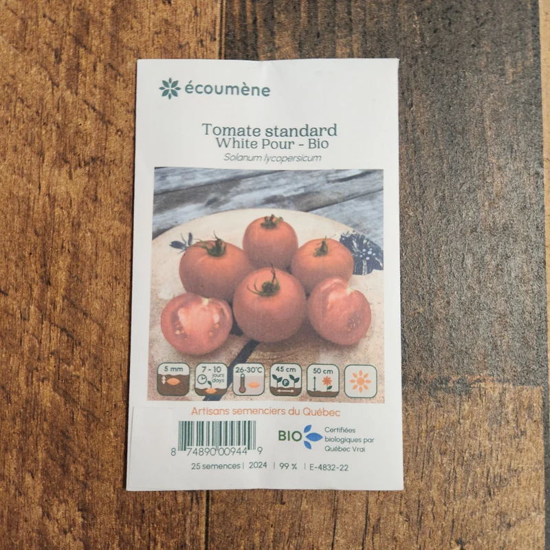 Tomate ‘White Pour’ ( Solanum lycopersicum )