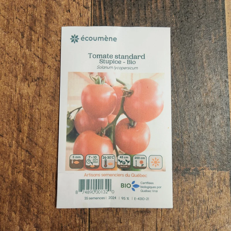 Tomate ‘Stupice’ ( Solanum lycopersicum )