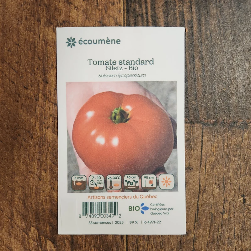 Tomate ‘Siletz’ ( Solanum lycopersicum )