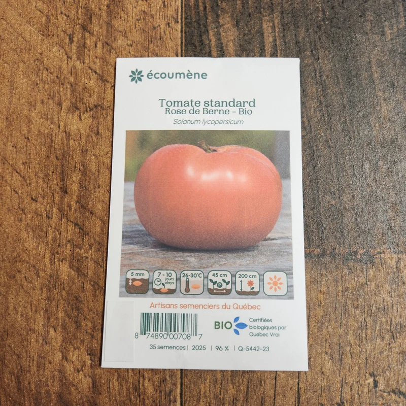Tomate ‘Rose de Berne’ ( Solanum lycopersicum )